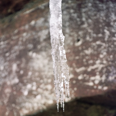 Jan 10: Ice on the Sheltowee Trace